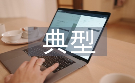 審計(jì)風(fēng)險(xiǎn)典型案例