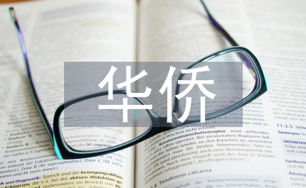 海外華僑華人和華文媒體高度評(píng)價(jià)中共十七大