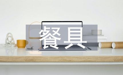 餐具調查報告