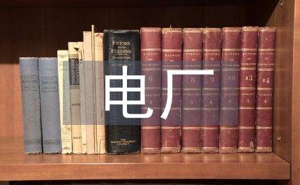 電廠調查報告
