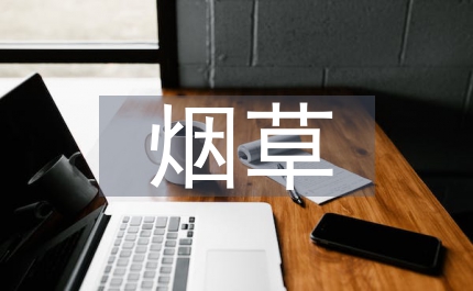 煙草公司信息中心主任競聘稿